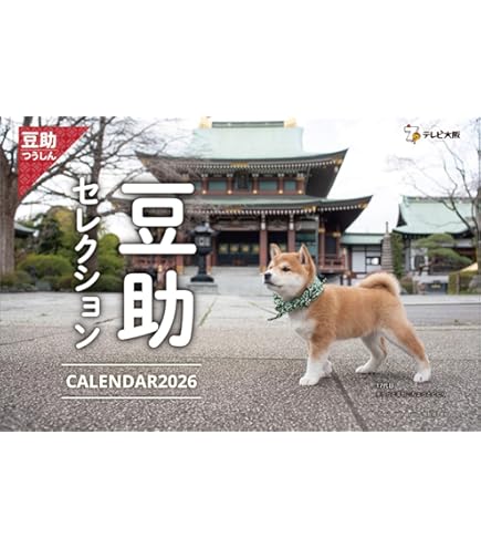 豆助 EgvEW4wUMAEqrqC.jpg?format=jpg